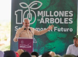 Michoacán va por récord verde; inicia Bedolla campaña para plantar 13 millones de árboles