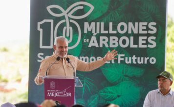 Michoacán va por récord verde; inicia Bedolla campaña para plantar 13 millones de árboles