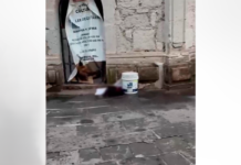 MACABRO HALLAZGO EN TARÍMBARO: ABANDONAN CABEZA HUMANA EN LA PLAZA PRINCIPAL