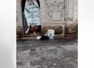 MACABRO HALLAZGO EN TARÍMBARO: ABANDONAN CABEZA HUMANA EN LA PLAZA PRINCIPAL