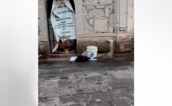 MACABRO HALLAZGO EN TARÍMBARO: ABANDONAN CABEZA HUMANA EN LA PLAZA PRINCIPAL