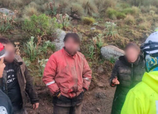 Rescatan a tres excursionistas extraviados en el Parque Nacional del Ajusco