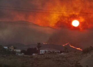 Incendio forestal en España deja 12 personas sin vida y 23 desaparecidos