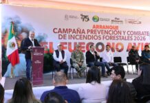 Michoacán redujo más del 60% la superficie afectada por incendios forestales: Bedolla