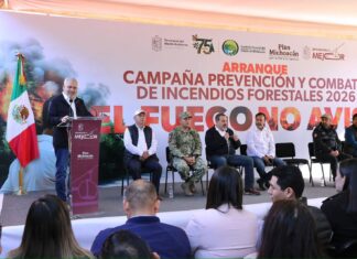 Michoacán redujo más del 60% la superficie afectada por incendios forestales: Bedolla