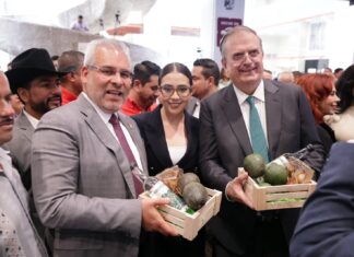 Michoacán consolida su liderazgo agrícola nacional, aporta el 28.2% de las exportaciones: Bedolla