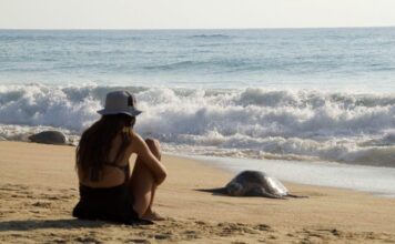 Las playas de Michoacán te esperan para una escapada inolvidable este verano