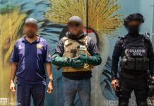 Con personal especializado, Zoológico de Morelia brinda atención a mono araña rescatado por Profepa