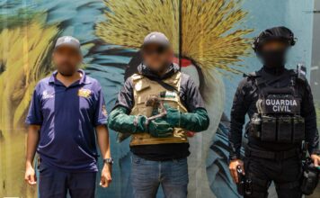 Con personal especializado, Zoológico de Morelia brinda atención a mono araña rescatado por Profepa