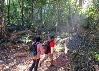 Este verano explora las áreas naturales protegidas de Michoacán en familia