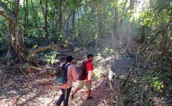 Este verano explora las áreas naturales protegidas de Michoacán en familia