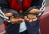 Conoce los pasos para recibir los lentes gratuitos de la estrategia Vive Saludable