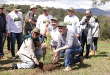 Michoacán se sumará a la Jornada Nacional de Reforestación con 13 millones de árboles este año: Bedolla