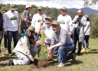 Michoacán se sumará a la Jornada Nacional de Reforestación con 13 millones de árboles este año: Bedolla