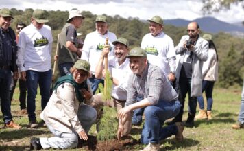 Michoacán se sumará a la Jornada Nacional de Reforestación con 13 millones de árboles este año: Bedolla
