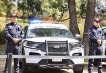 Golpe a la extorsión en Michoacán: evitan pago de más de 291 mdp