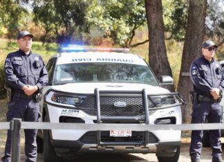 Golpe a la extorsión en Michoacán: evitan pago de más de 291 mdp