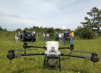 Michoacán rebasa su meta al dispersar 204 mil semillas con tecnología de drones