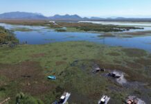 Intensifican trabajos de recuperación en el lago de Cuitzeo con maquinaria especializada