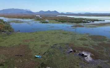 Intensifican trabajos de recuperación en el lago de Cuitzeo con maquinaria especializada