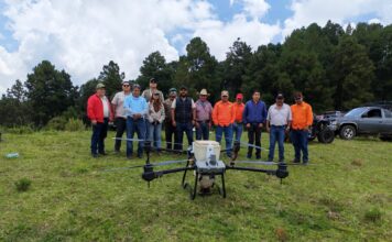 Restauran bosques de Tlalpujahua con la dispersión de 6 mil germoesferas