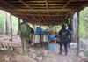 Fuerzas estatales y federales desmantelan laboratorio de drogas sintéticas en Lázaro Cárdenas
