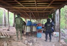 Fuerzas estatales y federales desmantelan laboratorio de drogas sintéticas en Lázaro Cárdenas