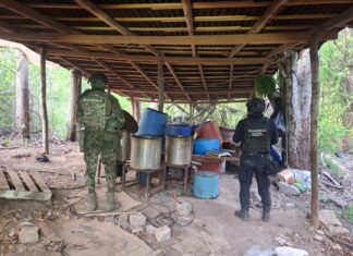 Fuerzas estatales y federales desmantelan laboratorio de drogas sintéticas en Lázaro Cárdenas
