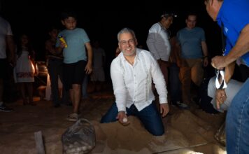 Con apoyo de 27 campamentos, Michoacán proyecta el nacimiento de 1.8 millones de tortugas: Bedolla