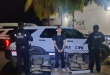 Guardianes del Camino aseguran más de 20 kg de marihuana en Lázaro Cárdenas