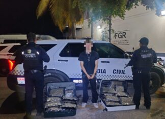 Guardianes del Camino aseguran más de 20 kg de marihuana en Lázaro Cárdenas