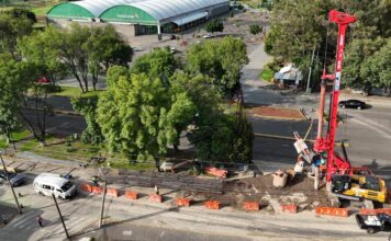 Más de 20 mil árboles transformarán Morelia junto con el Morebús: Sedum