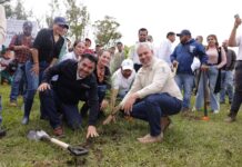 Arrancará mañana reforestación de 32 mil árboles en la ruta del Morebús: Bedolla