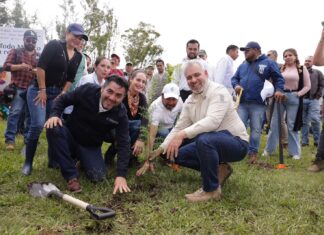 Arrancará mañana reforestación de 32 mil árboles en la ruta del Morebús: Bedolla