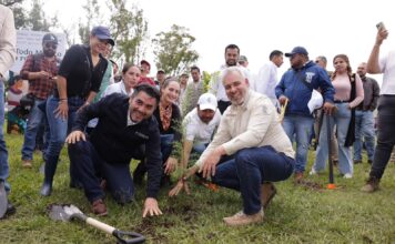Arrancará mañana reforestación de 32 mil árboles en la ruta del Morebús: Bedolla