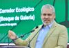 Arbolado de Tres Puentes se conserva; solo 27 ejemplares serán trasplantados: Bedolla