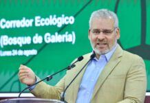 Arbolado de Tres Puentes se conserva; solo 27 ejemplares serán trasplantados: Bedolla