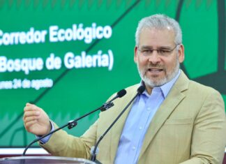 Arbolado de Tres Puentes se conserva; solo 27 ejemplares serán trasplantados: Bedolla
