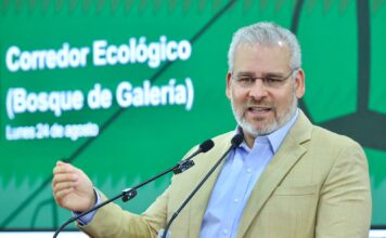 Arbolado de Tres Puentes se conserva; solo 27 ejemplares serán trasplantados: Bedolla