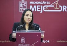 Con ajuste del proyecto del Morebús se rescatarán y trasplantarán 27 árboles en Tres Puentes