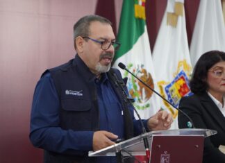 Compensación de 32 mil árboles por el Morebús equivale a una superficie de 45 canchas de fútbol