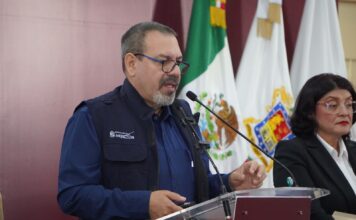 Compensación de 32 mil árboles por el Morebús equivale a una superficie de 45 canchas de fútbol