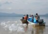 Compesca libera 80 mil nuevas crías de pez blanco en el lago de Pátzcuaro