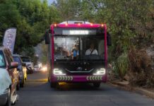 Morebús brindará movilidad segura a estudiantes de todos los niveles