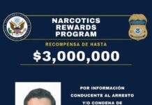 Cae en Tocumbo «El Güicho» o «R5», presunto generador de violencia en Los Reyes