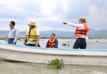 Avanza retiro de lirio en Presa Malpaís de Queréndaro; 500 hectáreas serán limpiadas: Bedolla