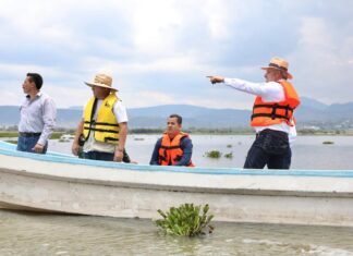 Avanza retiro de lirio en Presa Malpaís de Queréndaro; 500 hectáreas serán limpiadas: Bedolla