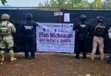 Cateos en Los Reyes y Peribán dejan un detenido y fauna exótica decomisada
