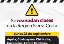 Este lunes se reanudan clases en la región Sierra-Costa de Michoacán: SEE