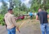 Árbol cae sobre automóvil en la carretera Uruapan-Pátzcuaro; conductor resulta lesionado
